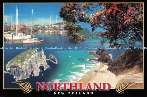 D124581 Northland Neuseeland Neuseeland Souvenir Tiki