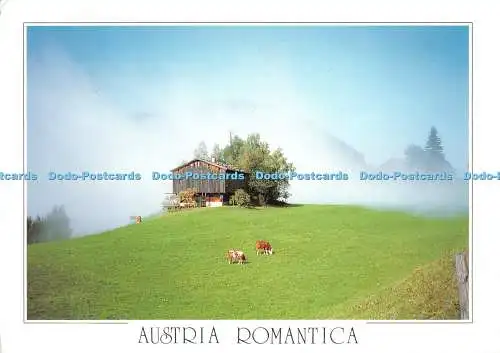 D122631 Australien Romantica Produktion der Mitglieder des Verbandes K Defner