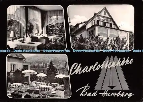D124587 Cafe Restaurant Charlottenhöhe Bad Harzburg Inh Harry Exner Abbenroder S