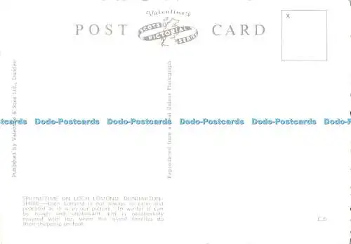 D124704 Springtime on Loch Lomond Dunbartonshire Valentine Scots Bildserie