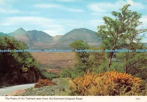 D127012 Die Gipfel eines Teallach vom Gairloch Ullapool Road Whiteholme aus gesehen