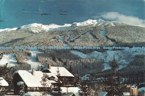 D127346 Whistler B C The Runs of Blackcomb Mountain Rick Flebbe 1986