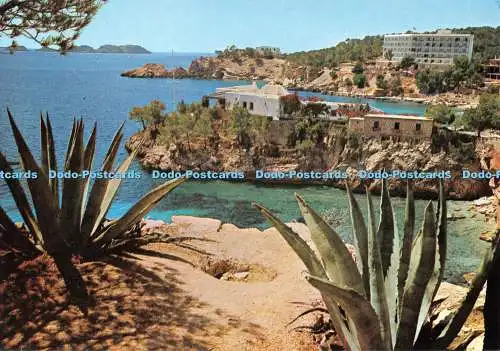 D130305 Mallorca Cala Fornells Nr PM 293 Campana Puig Ferran Werticrom