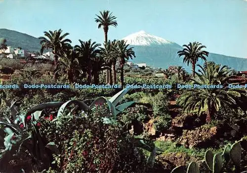 D130307 Teneriffa No 475 Panoramablick und Teide im Hintergrund Ediciones Ro Foto