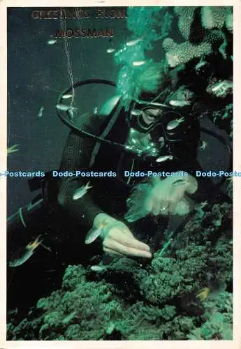 D127527 Taucher unter den Fischen und Korallen des Barrier Reef G K Bolton Drucker