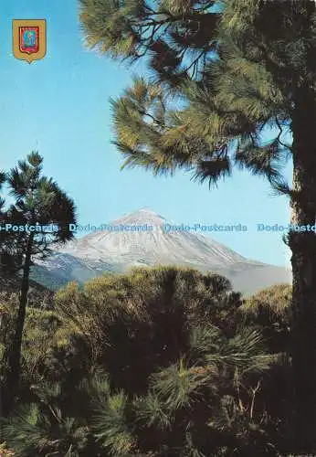 D127528 Teneriffa Kanarische Inseln Der Teide Blick von der Pinery der Cumbre Fis