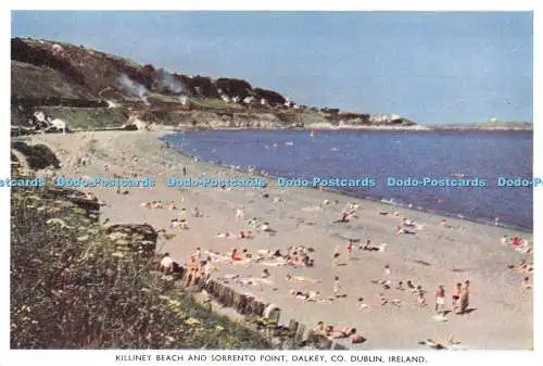 D127760 Irland Killiney Beach und Sorrento Point Dalkey Co Dublin Cahill P C Co