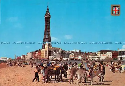 D127831 Blackpool Donkey Riding Central Beach Fisa