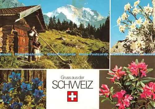 D130632 Schweiz Gruss aus der Schweiz Jungfrau Photoglob Orell Fussli SA Mul