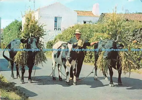 D131610 Acores Cena Tipica Comer