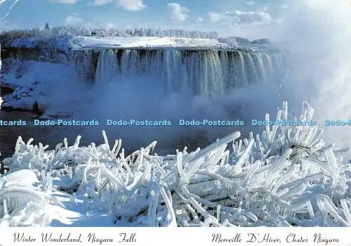 D131707 Winter Wonderland Niagarafälle Merveille DHiver Chutes Niagara Niagara