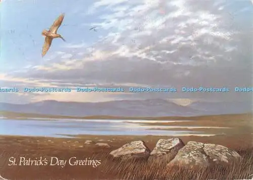 D131708 St Patricks Day Greetings Landscape An Post 1988