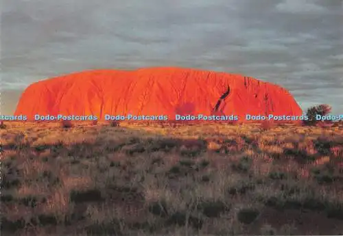 D131725 Ayers Rock at Sunset Barker Souvenirs Ayers Rock Kerry Williams