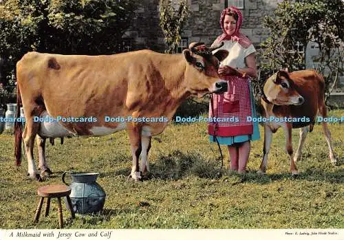 D131851 Milchmädchen mit Jersey Kuh und Kalb E Ludwig Hinde 1975
