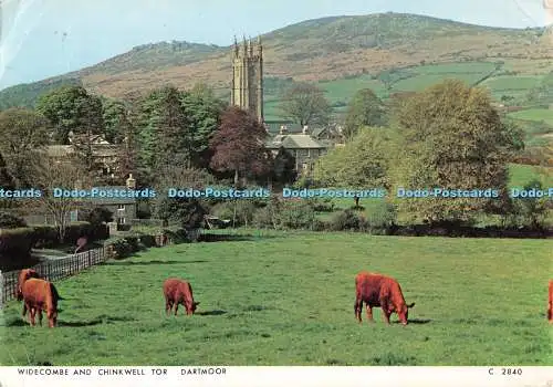 D131911 Widecombe und Chinkwell Tor Dartmoor C2840 Richter 1975