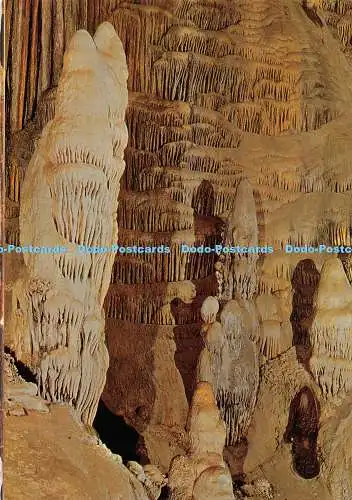 D132047 Cueva de Nerja Malaga Das kleine Lamm Fotocolor Valdivieso