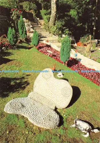 D132151 Trikot C I Shell Butterfly Jarrold 1982