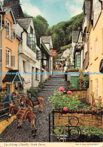D132267 North Devon Clovelly Up a Long John Hinde E Ludwig 1977