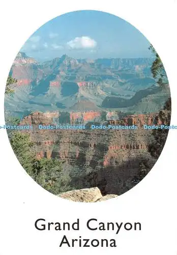 D132397 Arizona Grand Canyon Yavapai Point meist Postkarten Inc Richard Strange