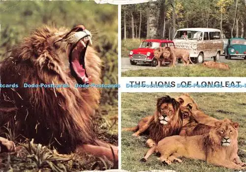 D134836 Lion of Longleat Hinde 1971 Multi View