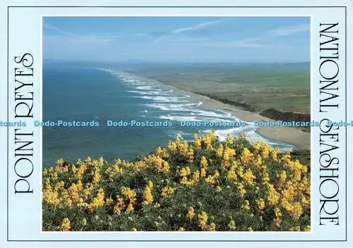 D132705 National Seashore Point Reyes Cooper Classics The World Most Beautiful P