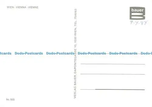 D135202 Wien Graben Bauer Nr 555