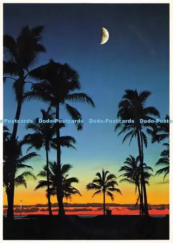 D135252 Ein wirklich schöner Himmel bei Einschlag in der Dämmerung