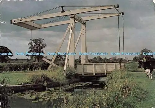 D132940 Shropshire Hubbrücke am Ellesmere Canal bei Whixall Ironbridge