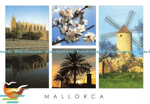 D140298 Mallorca Postal plus Cofiba 2016 Multi View