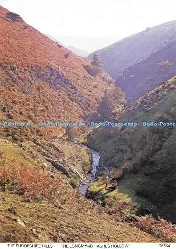 D138031 The Shropshire Hills The Longmynd Ashes Hollow Judges C 6554