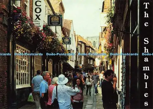 D140380 Shambles York Richard Watson Judges C31020