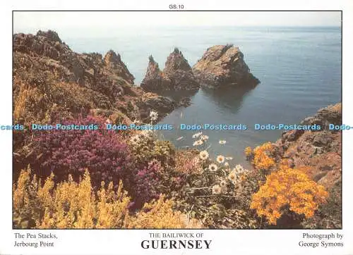 D133217 Erbsenstapel Jerbourg Point Vogtei von Guernsey George Symons D R Photog