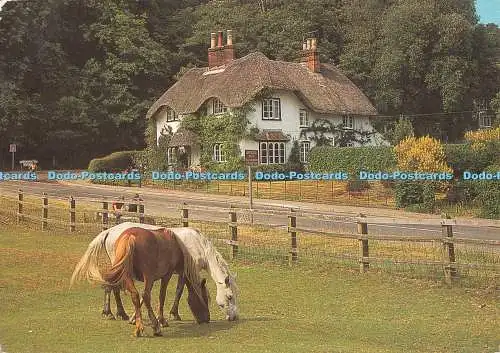 D133228 New Forest Cottage Salmon 1986
