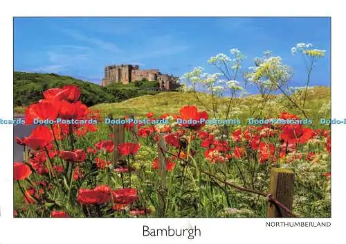 D140774 Bamburgh Northumberland Bamburgh Castle Nick Goonan Landschaftsfotos Passio