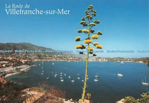 D133633 La Rade de Villefranche sur Mer Ste Pec