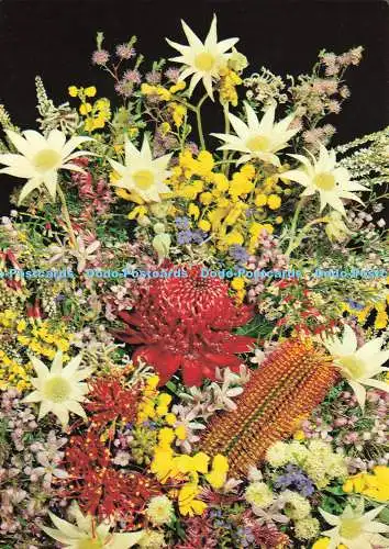 D141073 Australian National Flowers Werner Bartel Photography Sydney