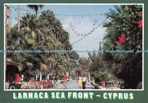 D133782 Zypern Larnaka Sea Front K N Papadopoulos Merchants No 955