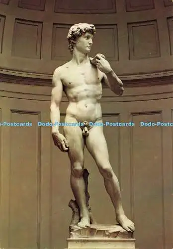 D141235 Firenze Galerie der Accademia David von Michael Angelo Innocenti Editori F