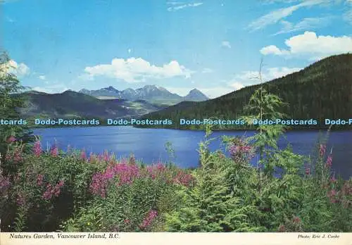 D138950 Naturgarten Vancouver Island B C Eric J Cooke Alex Wilson Publikationen