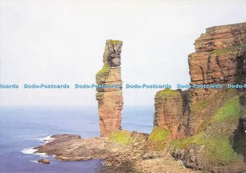 D136305 Orkney Der alte Mann, wie J Arthur Dixon