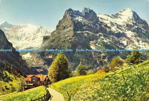 D138982 Grindelwald Fiescherwand mit Eiger F 2153 E Schudel Foto Haus