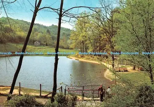 D133925 Malcantone Il laghetto di Astano Alfa S A