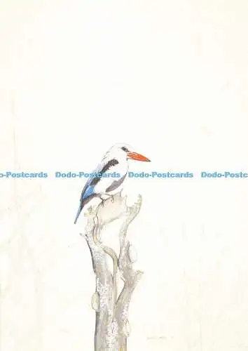 D141349 Ref Wild Art 002 Mangrove Kingfisher South African Artist David Cubbin