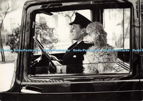 D136477 London Knightsbridge Planographic Ace Cards Thurston Hopkins