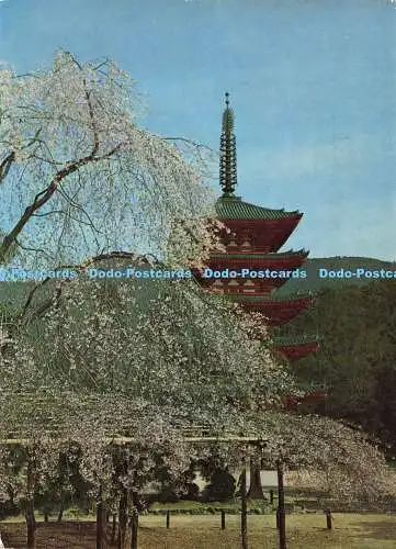 D141505 Daigo Ji Tempel Kyoto