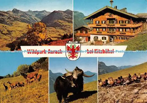 D134221 Wildpark Aurach bei Kitzbühel Tirol Mit Hirschen K u H Lazzari OHG Multi