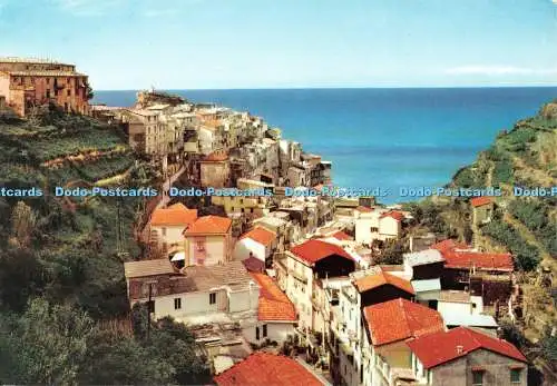 D134327 Le Cinque Terre Manarola M Ginocchio Da Fotocolor Kodak Ektachrome