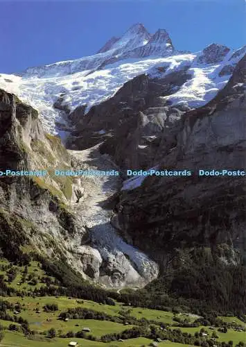 D139532 Grindelwald Schreckhorn Oberer Gletscher Schweiz Nr 161 Foto Alex