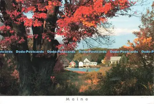 D142088 Maine Herbstfarben am Cape Schweinswal nahe Kennebunkport Ed Elvidge Küste
