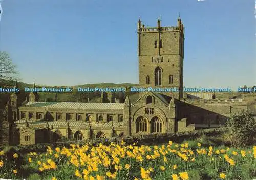 D137240 St Davids Cathedral St Davids Dyfed Dragon Publishing Colourmaster Postc